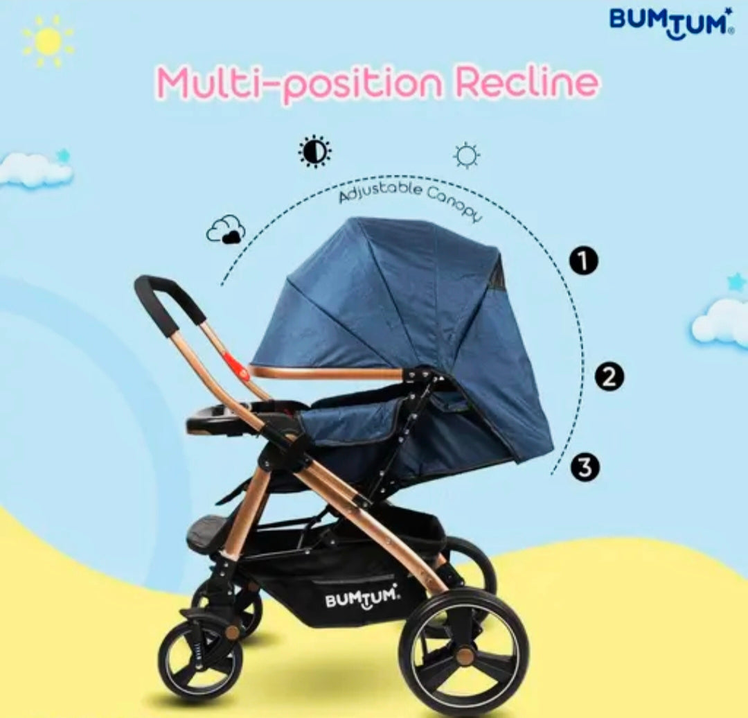 Luxury baby stroller pram for 6 to 36 months